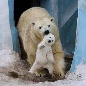 Meet your Posher, Melody